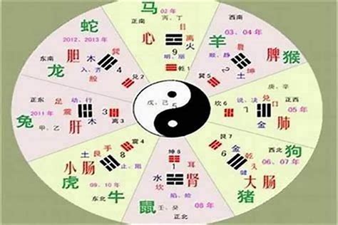 哲五行|哲字的五行属性